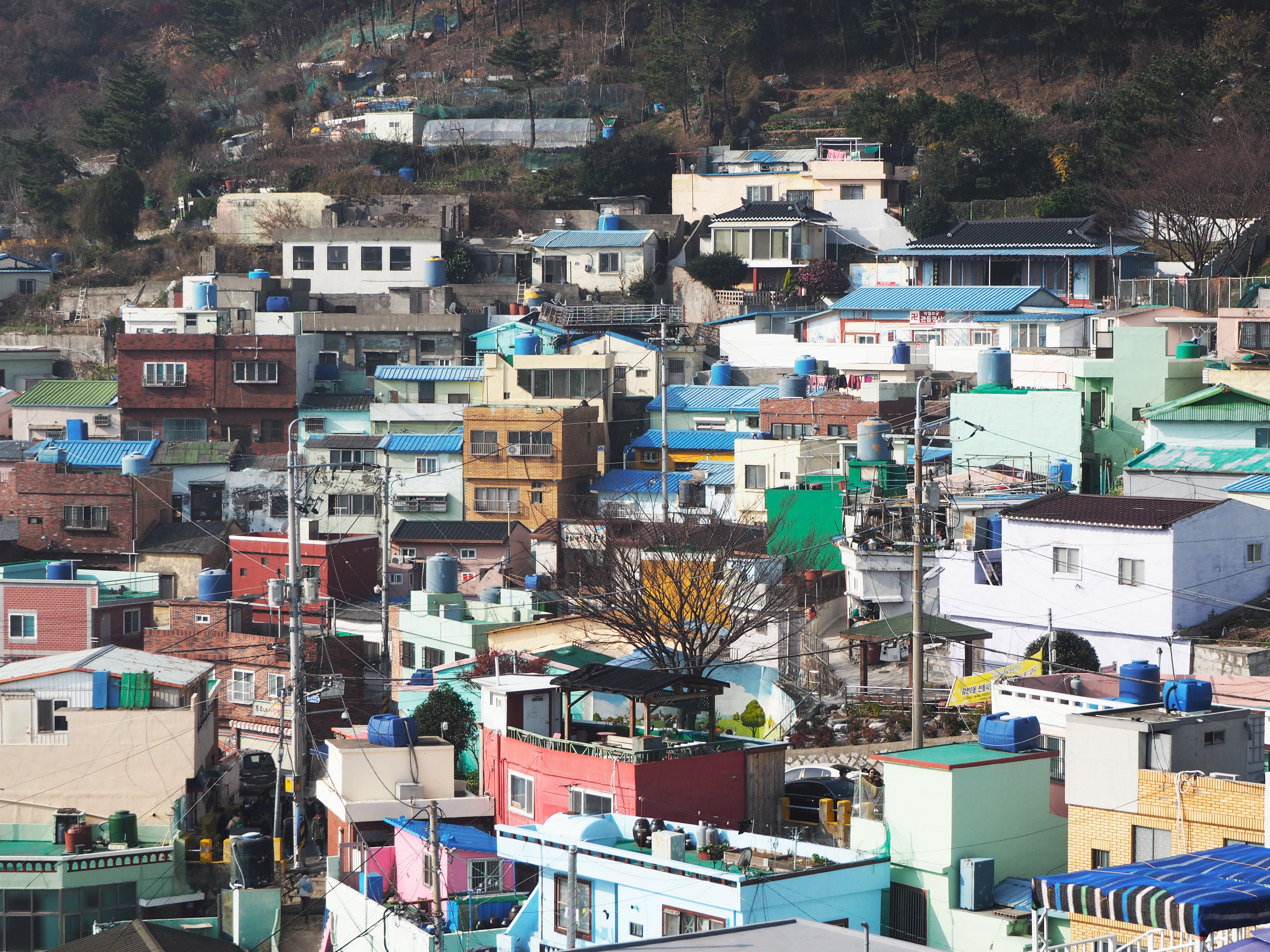 Busan Gamcheon Culture Village