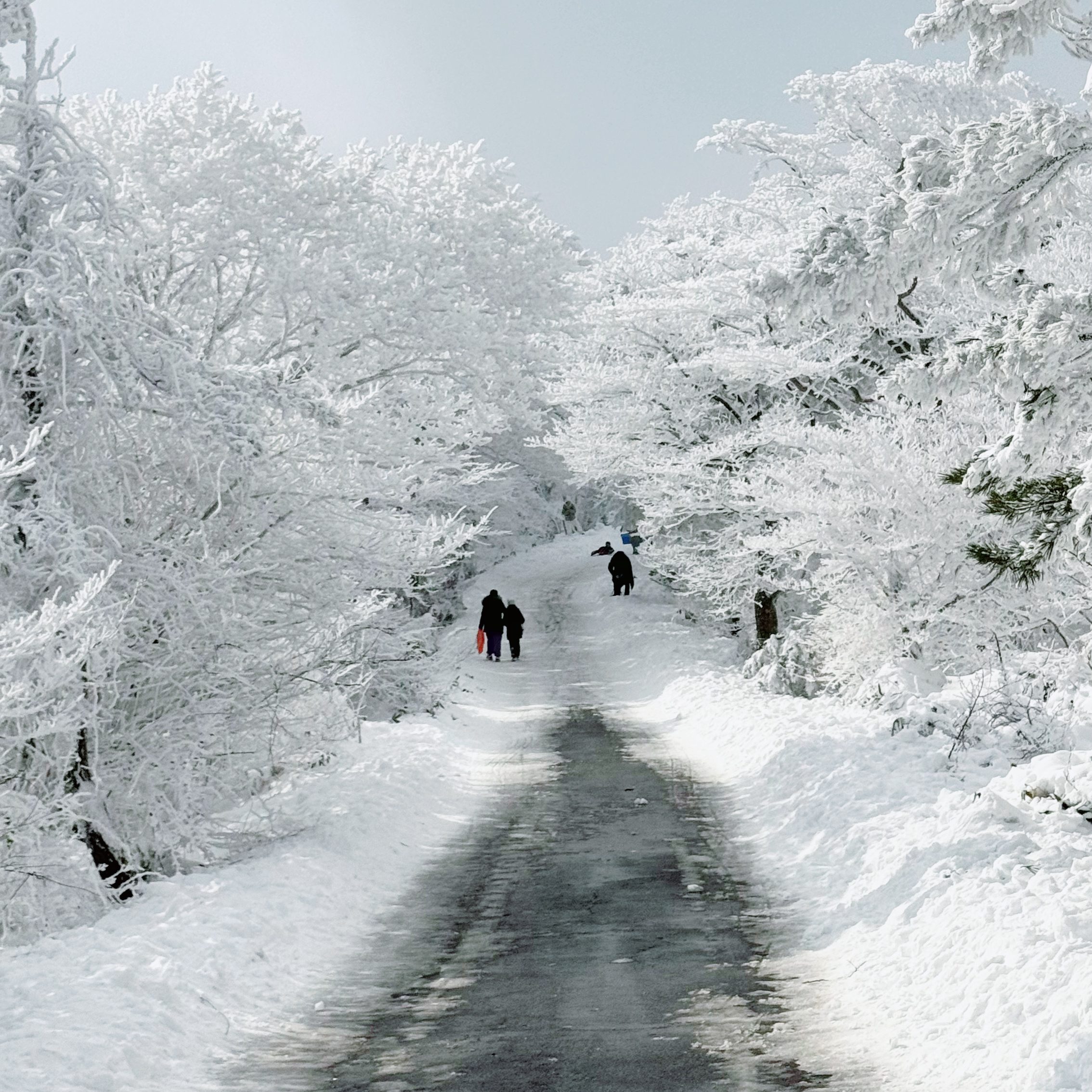 Top 8 things to do in Jeju during winter (tried & tested!)