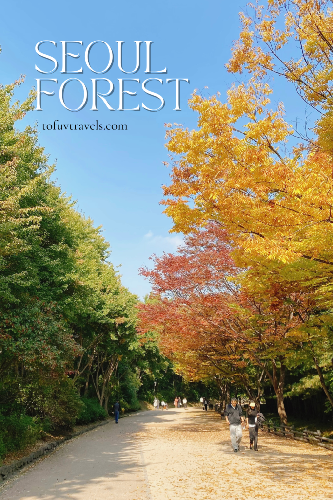 seoul forest