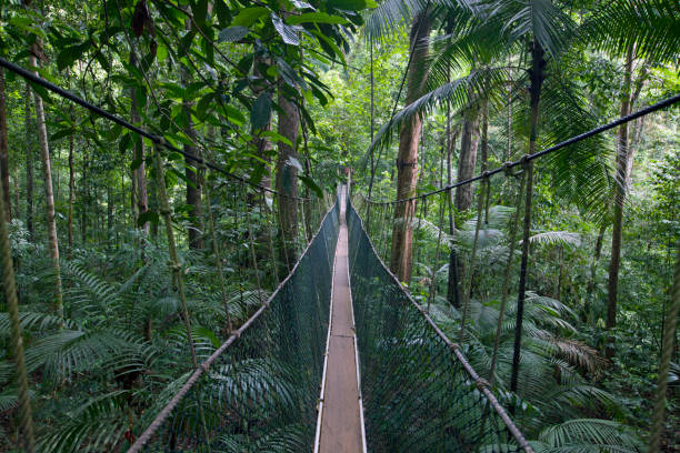 Most Fascinating National Parks in Malaysia Taman Negara National Park, Pahang