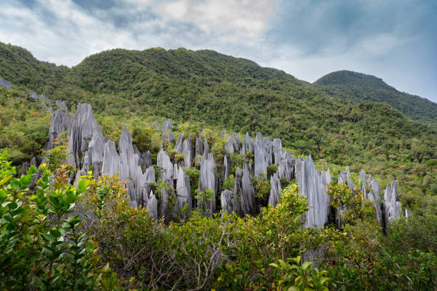Most Fascinating National Parks in Malaysia Gunung Mulu National Park, Sarawak