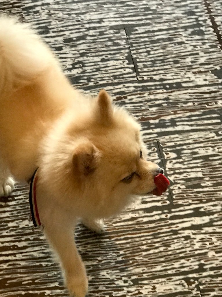 tamsui old street taiwan