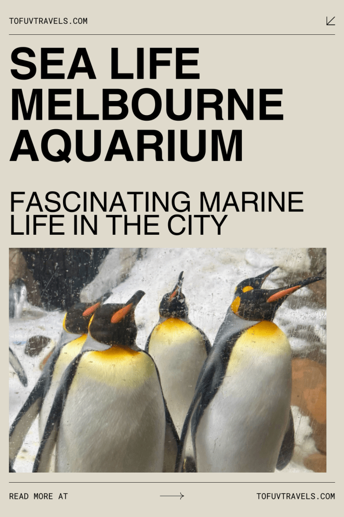 sea life melbourne aquarium