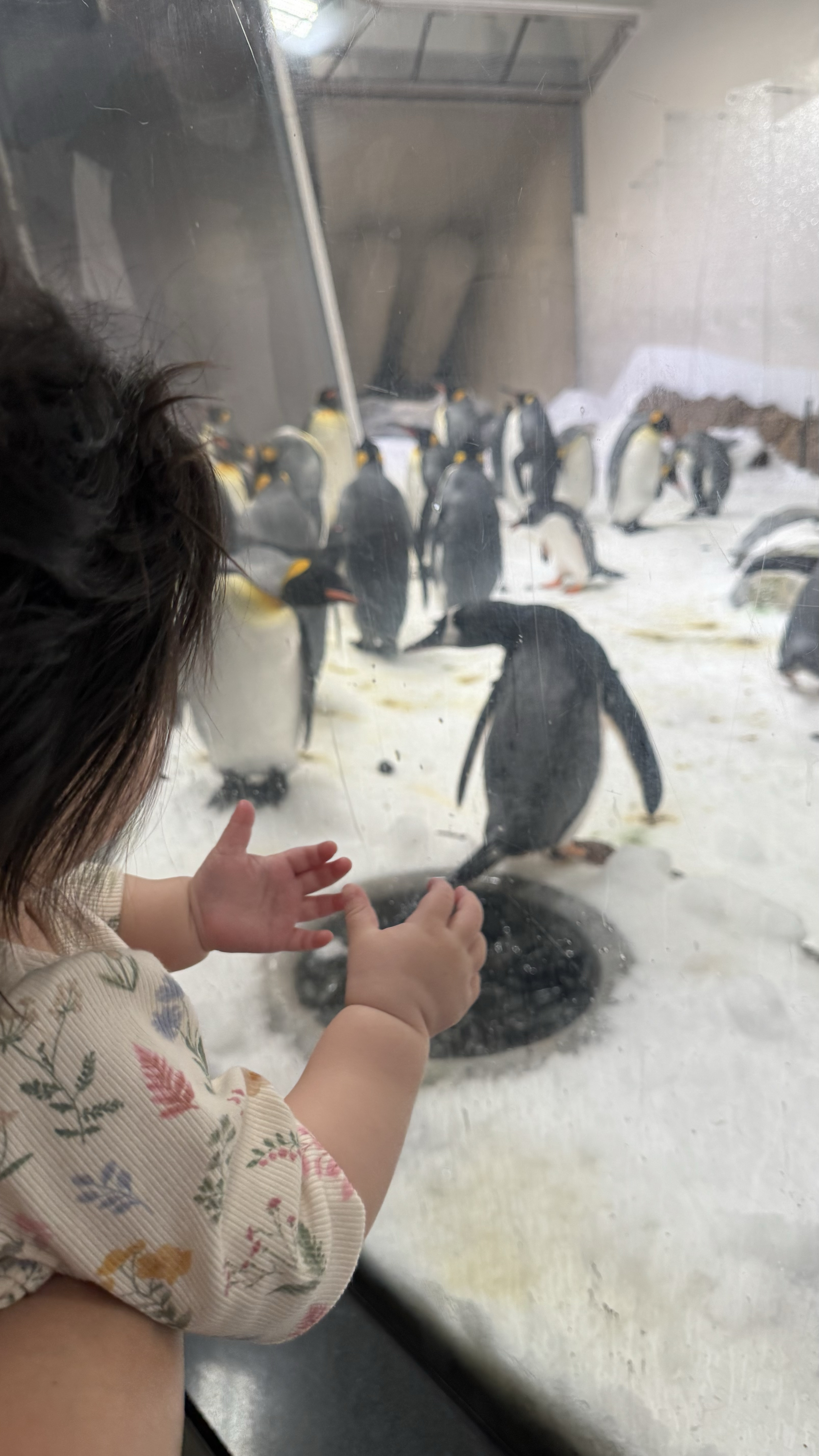 My Guide To Travelling in Melbourne with a Baby Under One (Tried-and-Tested!)