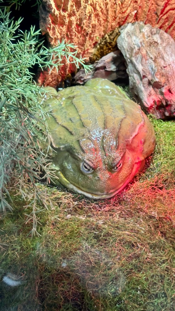 COEX Aquarium
