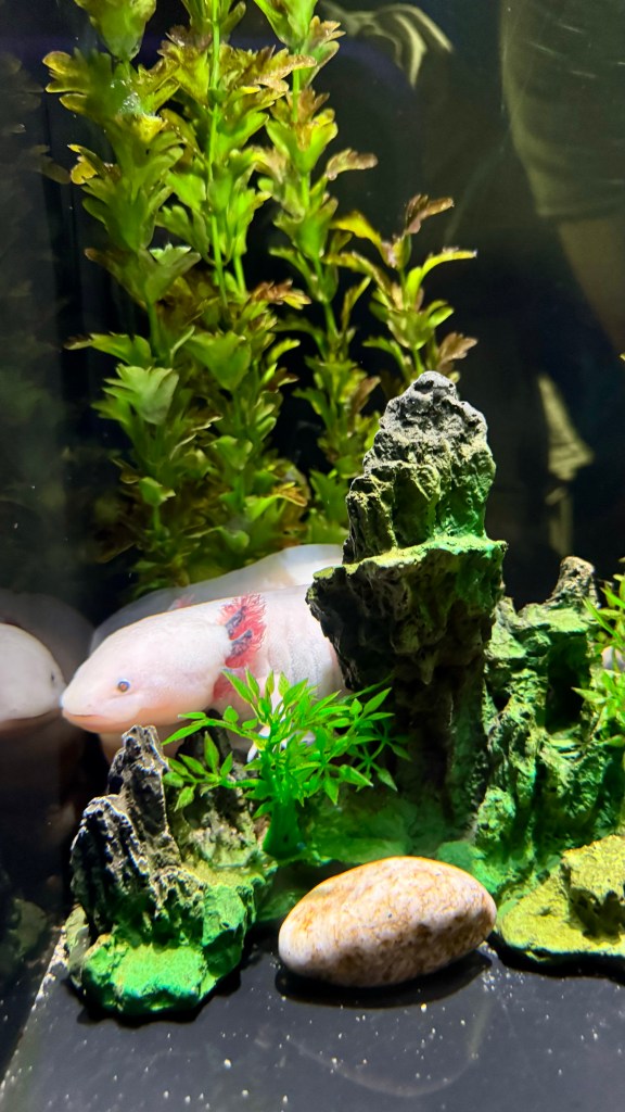 COEX Aquarium