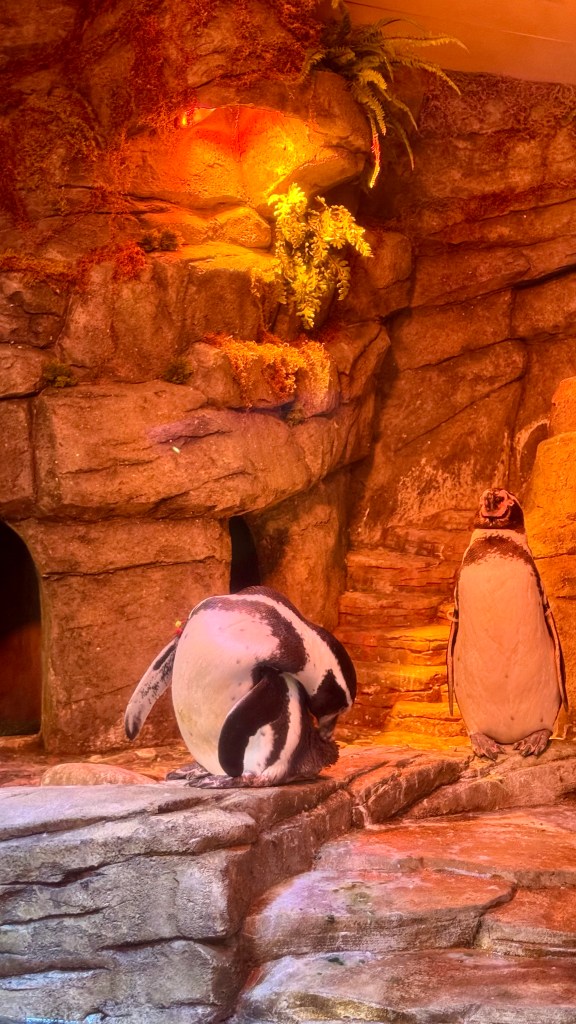 COEX Aquarium