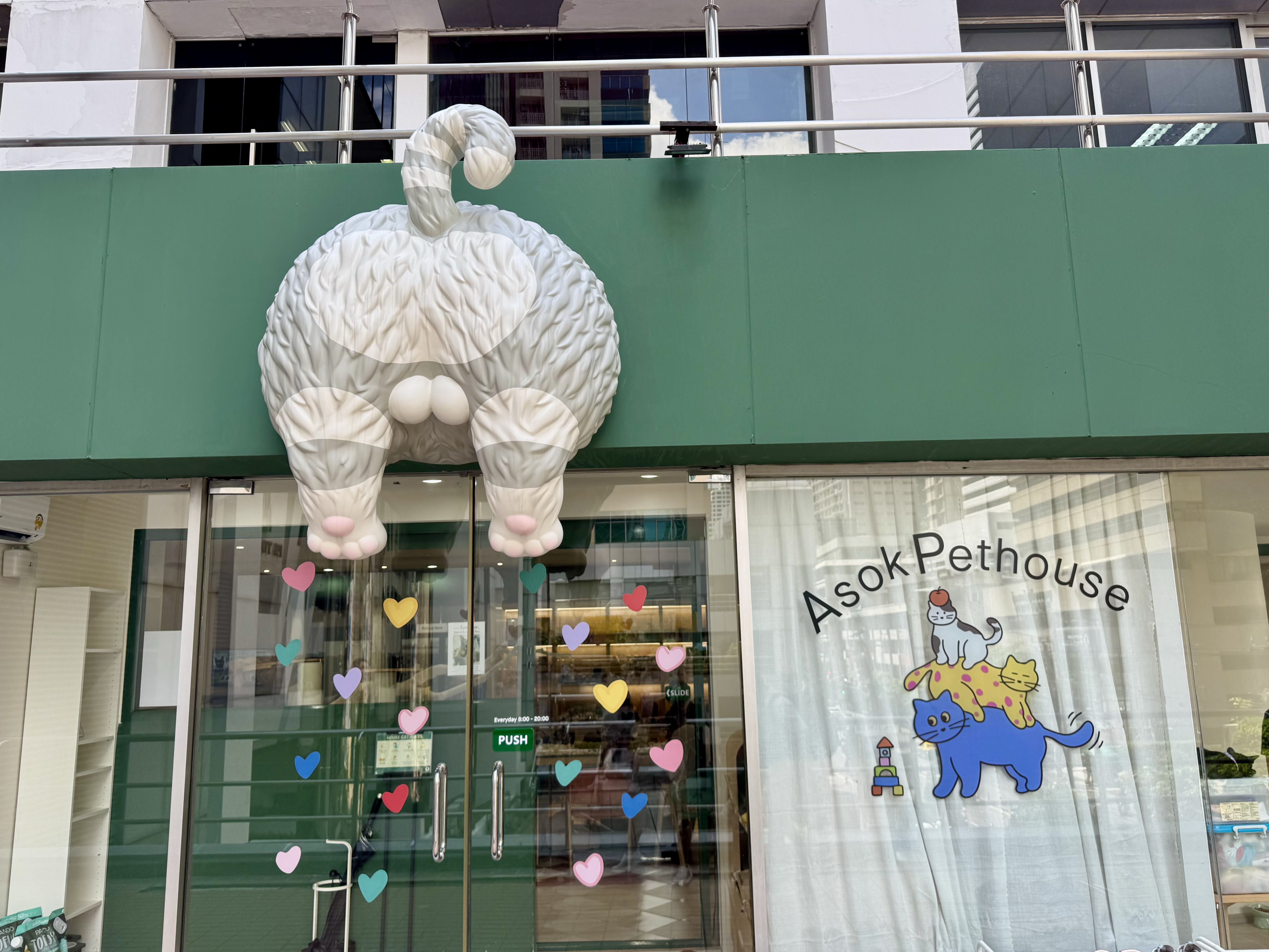 Asok Pethouse review: is Bangkok’s rescue cat café worth visiting?